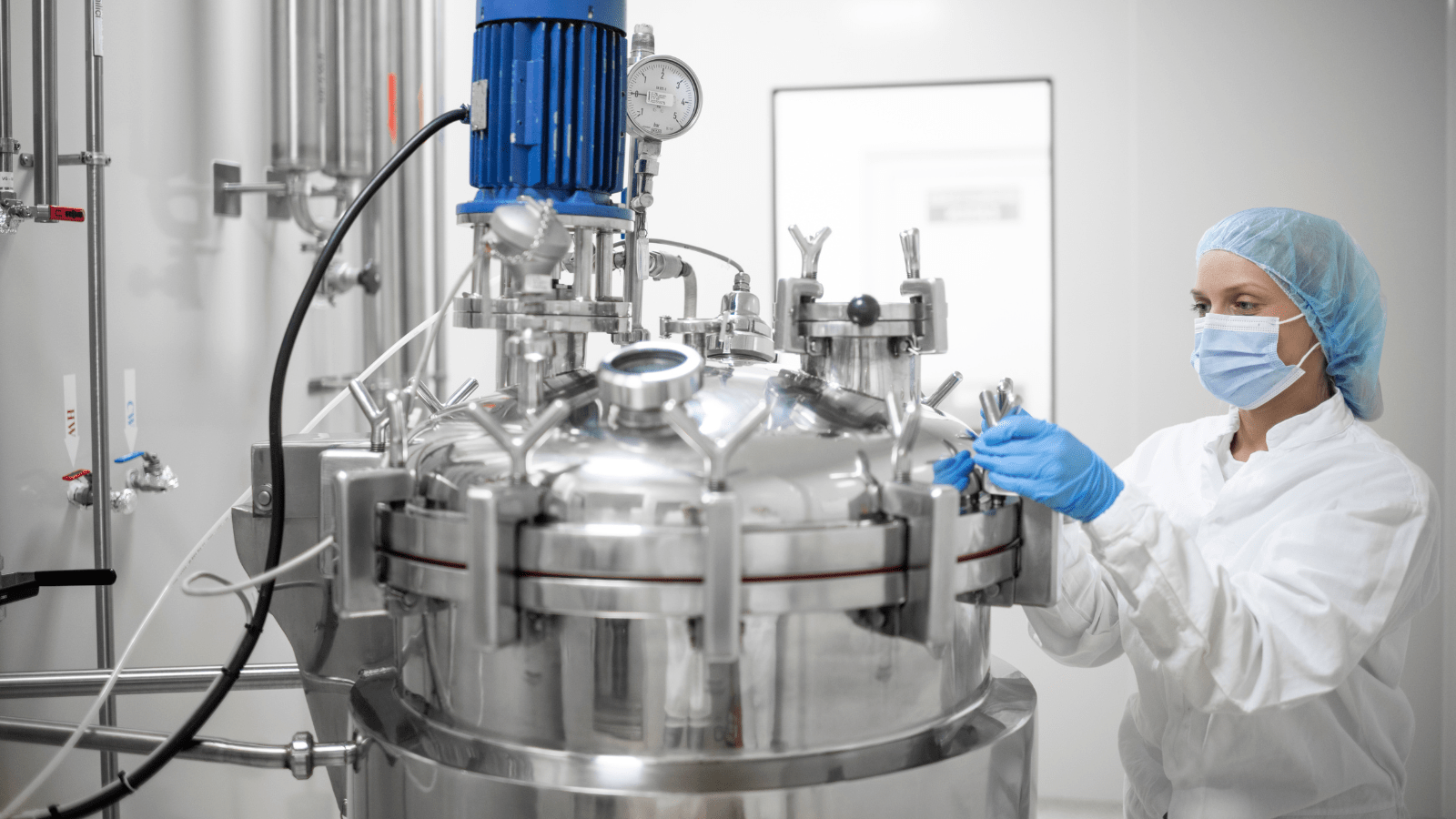 API & Intermediate Manufacturers